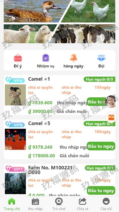 【精品源码】商业运营版本2025全新源码新版多语言 二开版玖福投资理财系统 任务图推广注册奖励 投资理财源码【代码开源】