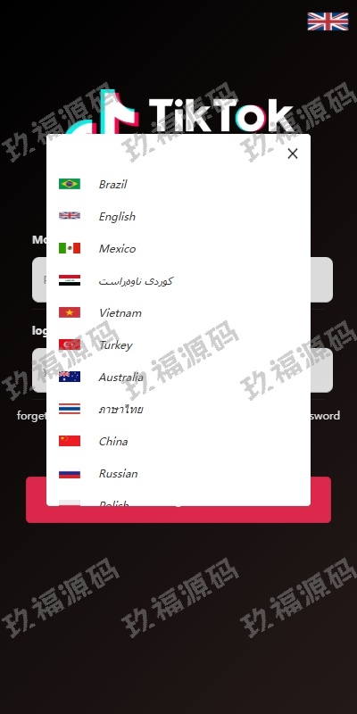 玖福tiktok抢单刷单系统 多语言刷单 打针 重置订单